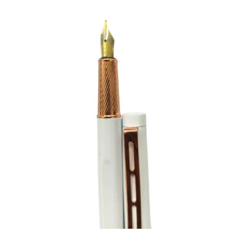 Dickwen 8078 Full White Color Fountain Pen