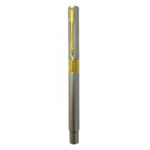 Dickwen 8078 Silver & Gold Color Fountain Pen