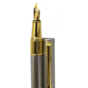 Dickwen 8078 Silver & Gold Color Fountain Pen