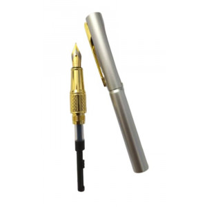 Dickwen 8078 Silver & Gold Color Fountain Pen