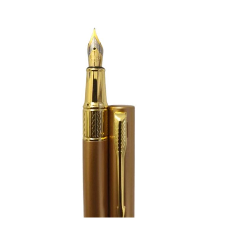 Dickwen 8078 Full Gold Color Fountain Pen