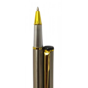 Dickwen Silver & Gold Ball Pen (Blue Ink)