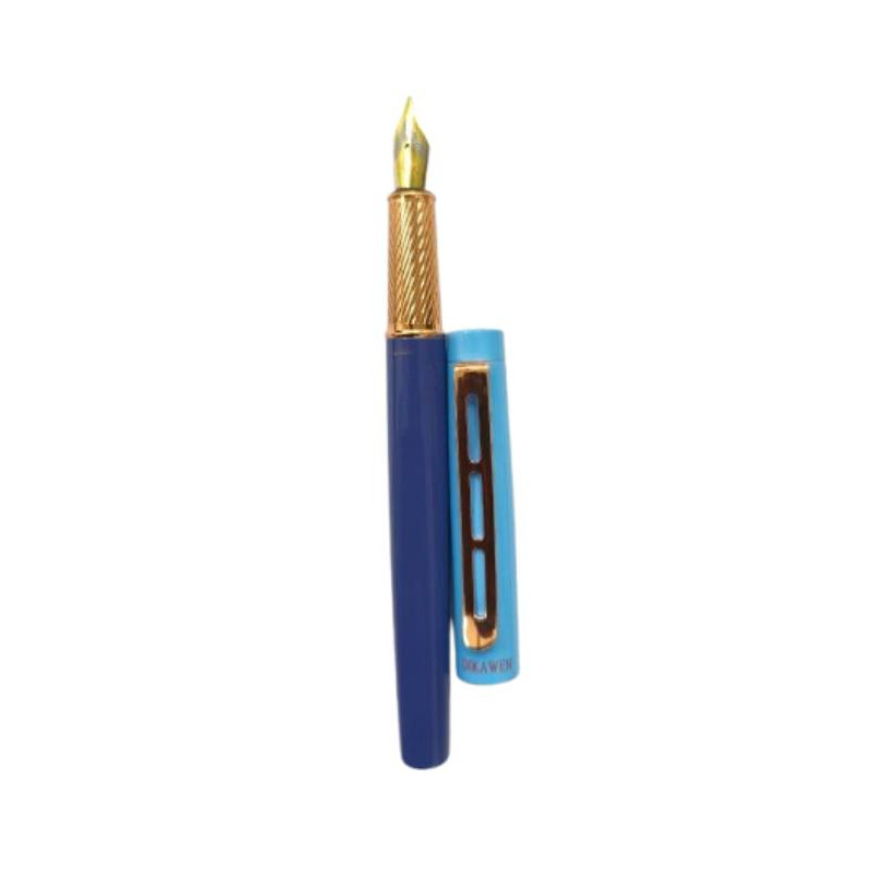 Dickwen 8078 Two Blue Color Fountain Pen