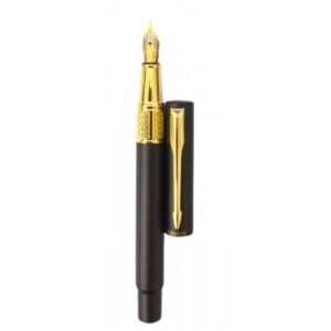 Dickwen 8078 Black & Gold Color Fountain Pen