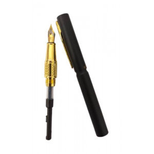 Dickwen 8078 Black & Gold Color Fountain Pen