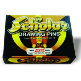 Scholar Drawing Pins (Pack...