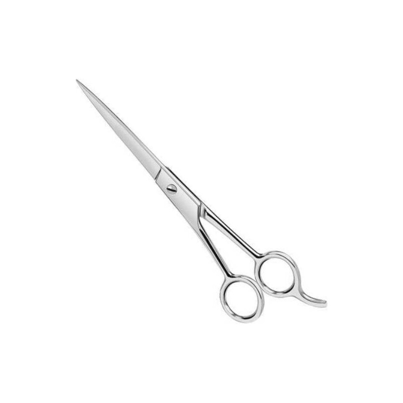Stainless Hair Cutting Scissor (4 inch)