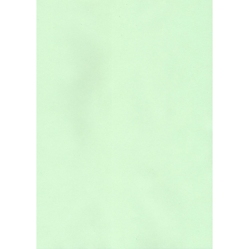 offimart-green-color-unruled-fullscape-ledger-paper-pack-of-100-sheets