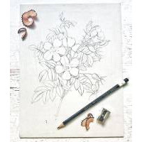 Buy Artist Drawing Supplies Online at Lowest Price in India -Offimart